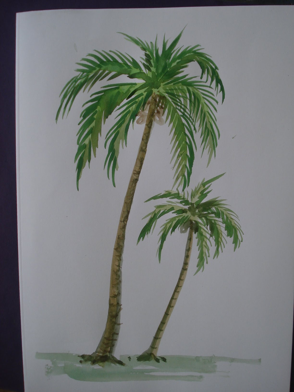 1224x1632 How To Draw Tree Painting With Using Water Colour - Coconut Tree Painting