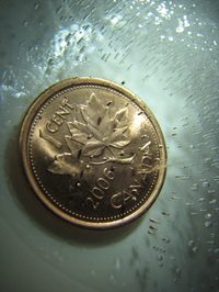 200x266 How To Paint Coins Ehow - Coin Painting