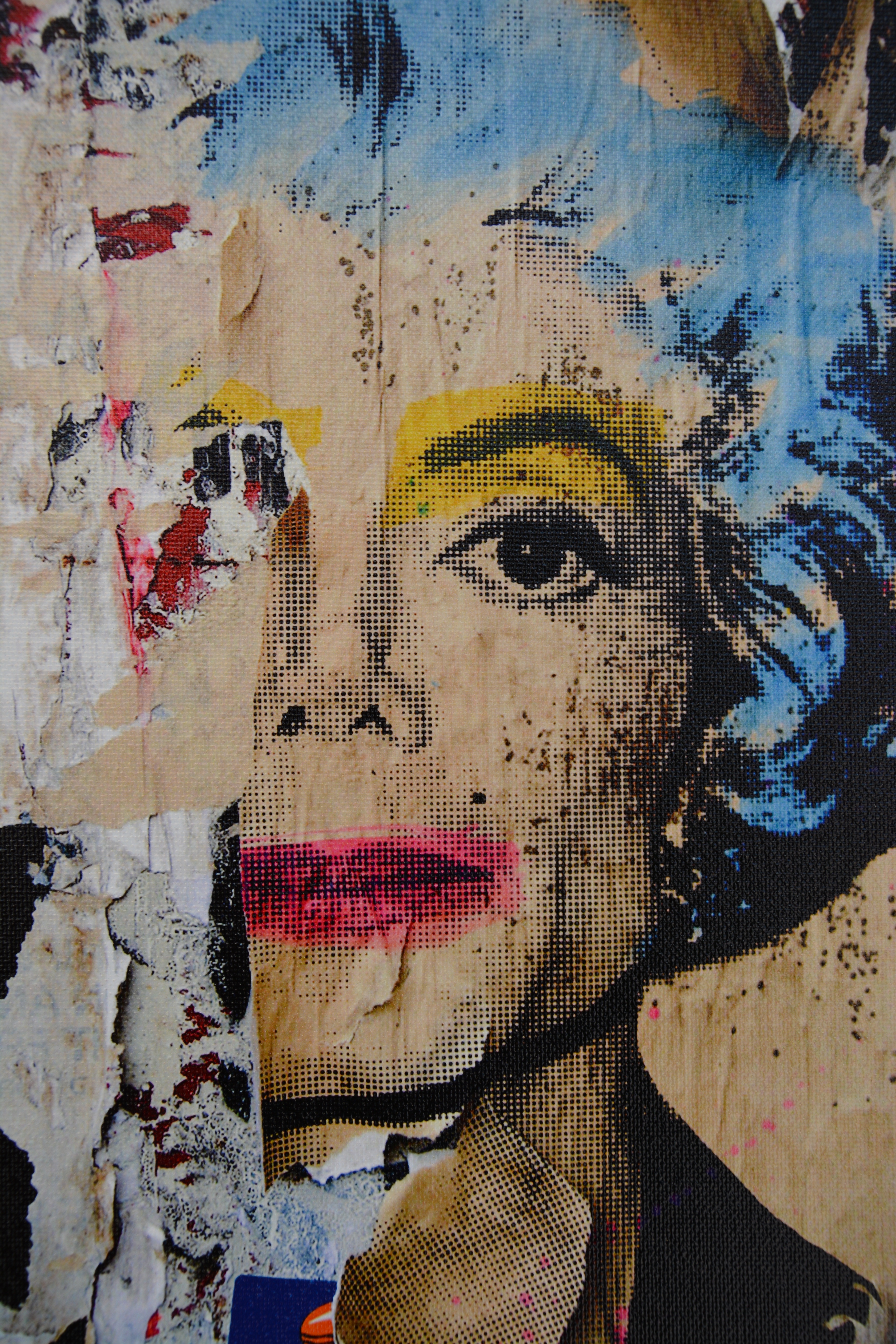 4000x6000 Free Images Singer, Color, Graffiti, Painting, Street Art, Mural - Collage Painting