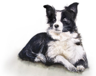 340x270 Collie Watercolor Etsy - Collie And Lamb Painting