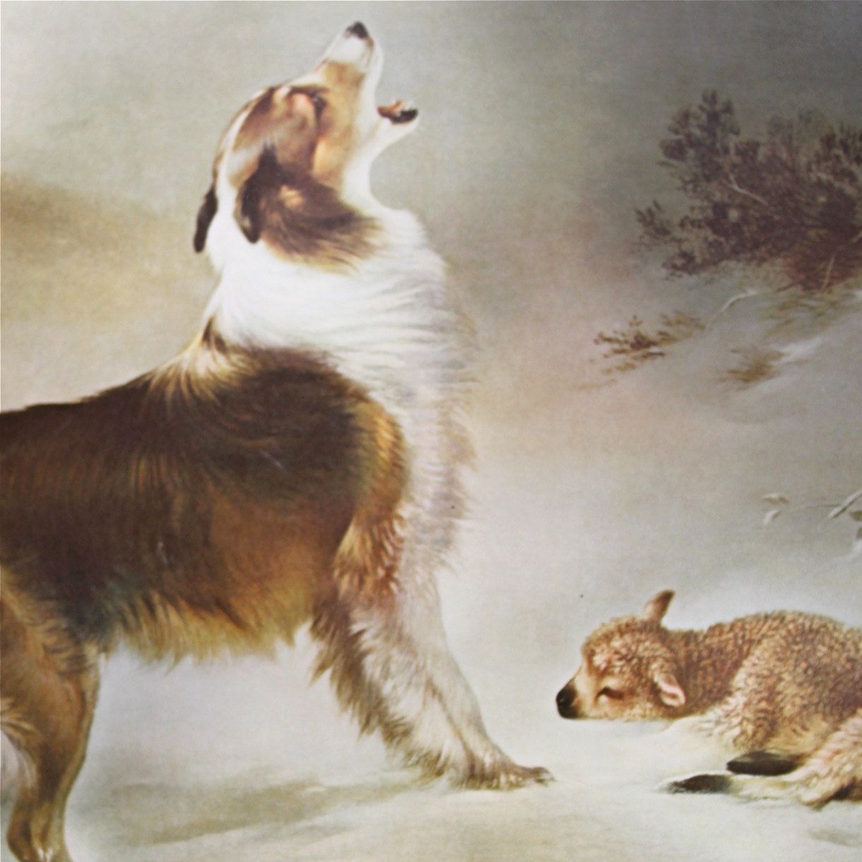 1220x1220 Pin By Tamara Emerson On Dog Dog - Collie And Lamb Painting