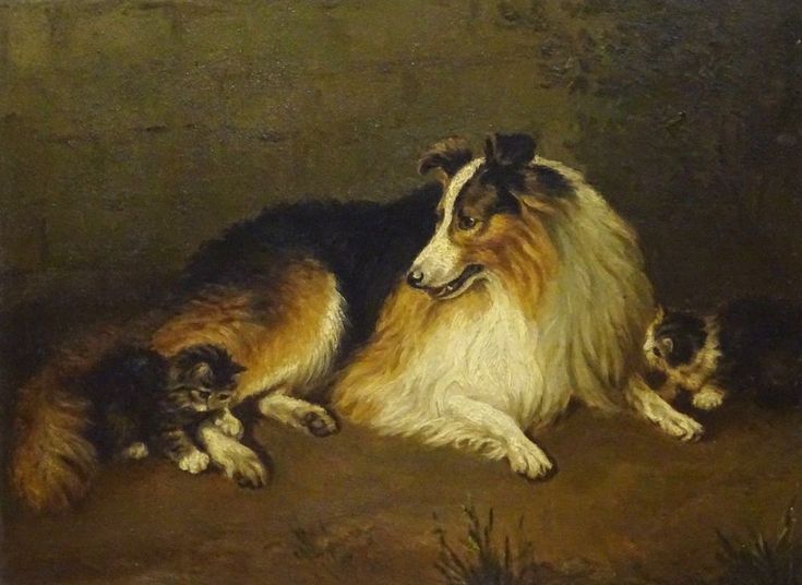 735x536 The 227 Best Psy Images On Dogs, Animal Paintings - Collie And Lamb Painting