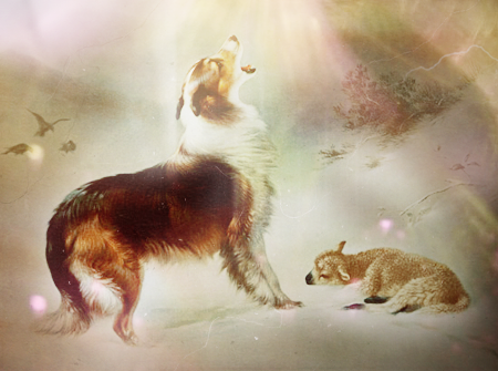 450x335 Collie Howling With Baby Lamb Antique Appraisal Instappraisal - Collie And Lamb Painting