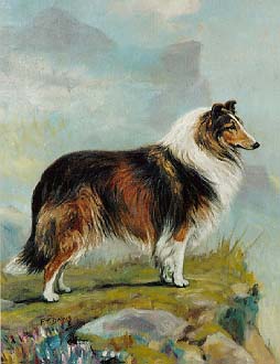 254x330 Collie Prints - Collie Painting