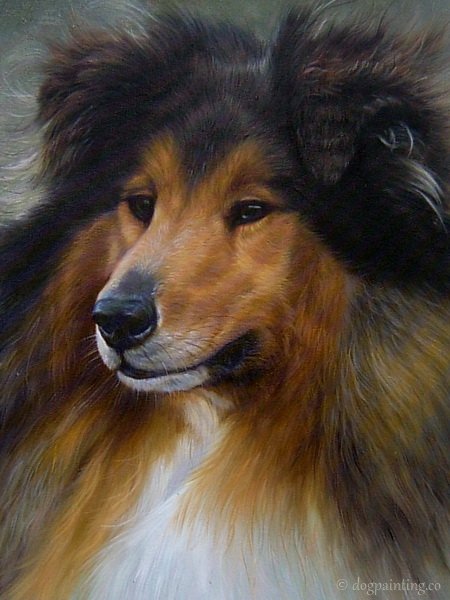 450x600 Collie Painting Dog Portrait Painter Dog Painting - Collie Painting