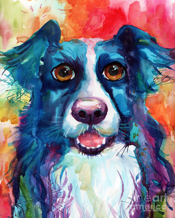 723x900 Whimsical Border Collie Dog Portrait Painting By Svetlana Novikova - Collie Painting