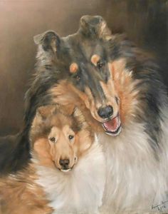 236x300 Vintage - Collie Painting