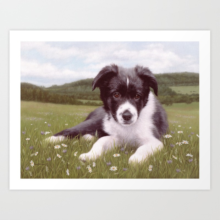 700x700 Border Collie Puppy Painting Art Print By Rachelstribb Society6 - Collie Painting