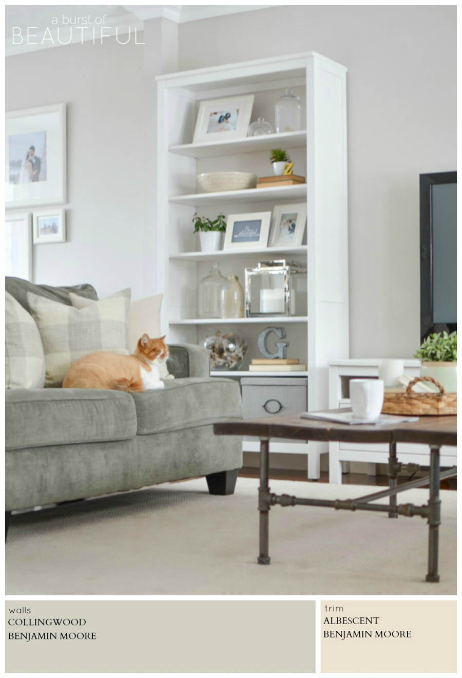 900x1320 Modern Farmhouse Neutral Paint Colors - Collingwood Painting