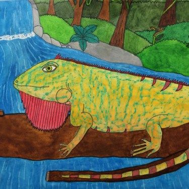 375x375 Color Contrast And Texture Rubbings Iguana Watercolor Resist - Color Contrast Painting