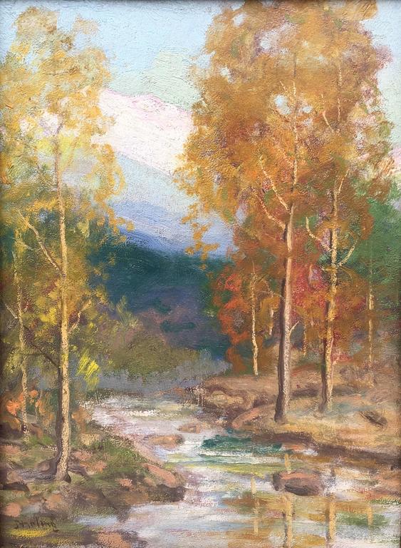 563x768 David Stirling - Colorado Painting