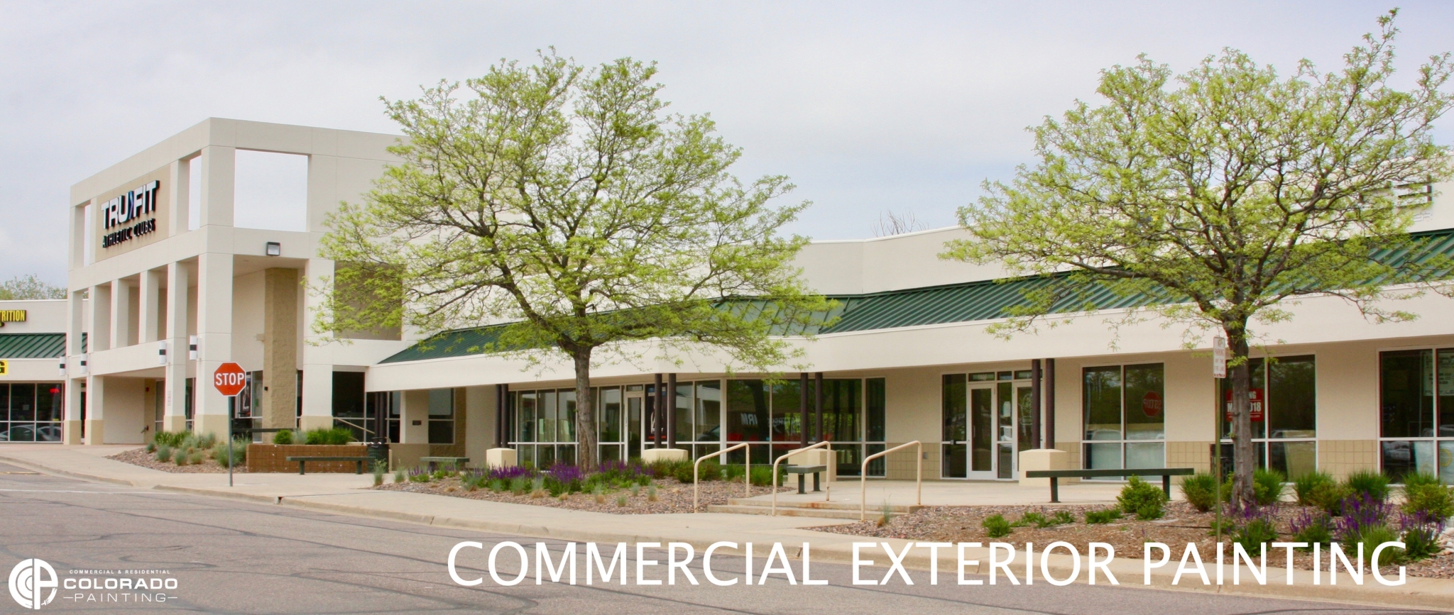 2048x867 Trevor Marshall, Author - Colorado Painting