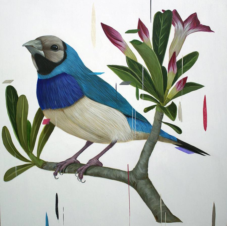 900x893 Colorful Bird Paintings Fubiz Media - Colorful Bird Painting