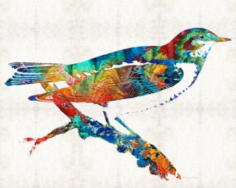 340x270 Colorful Bird Art Etsy - Colorful Bird Painting