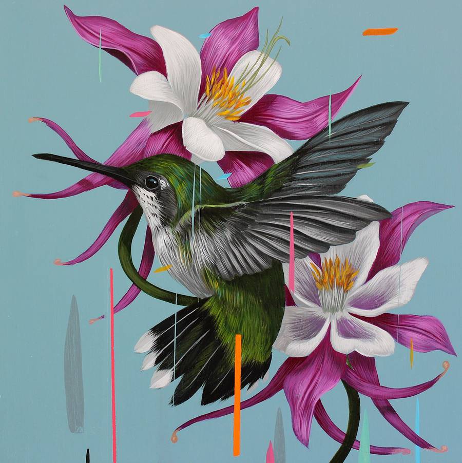 900x902 Paintings Of Birds Sprinkled With Color By Frank Gonzales Colossal - Colorful Bird Painting