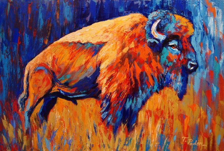 Colorful Buffalo Painting at PaintingValley.com | Explore collection of ...