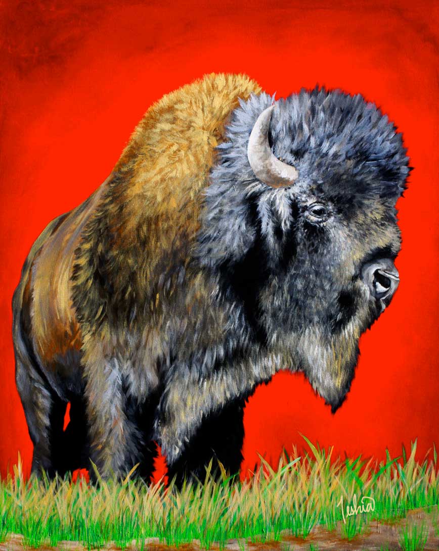 868x1091 Buffalo Warrior Teshiaart - Colorful Buffalo Painting