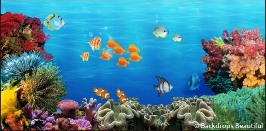 530x262 Backdrops Beautiful Hand Painted Scenic Backdrop Rentals And Sales - Colorful Coral Reefs Painting