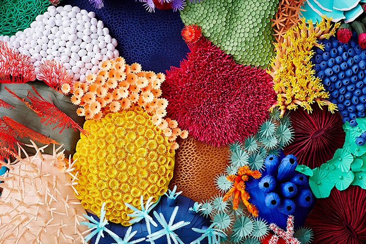 750x500 Vibrant Paper Art Sculpture Captures The Diversity Of A Coral Reef - Colorful Coral Reefs Painting