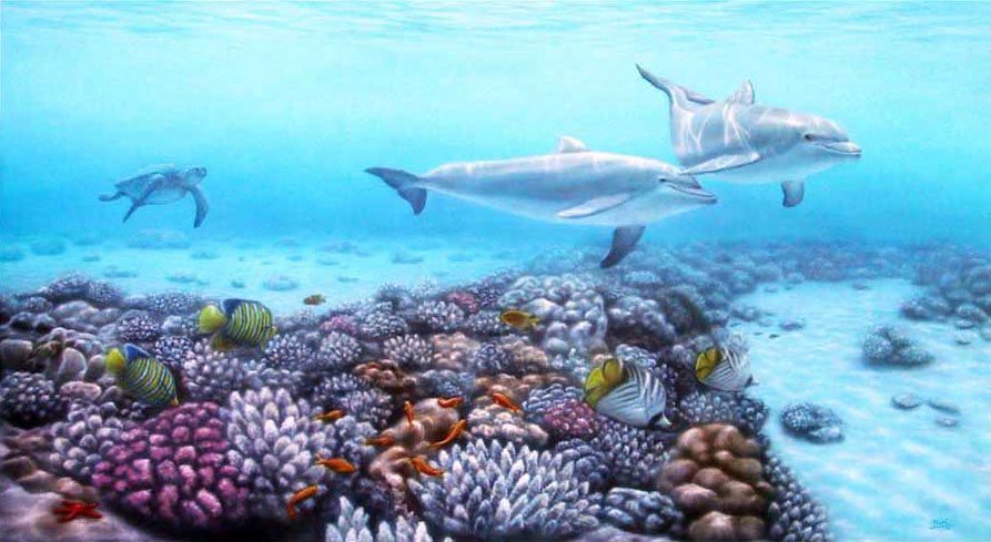 893x489 Cuadros Nuria Lamsdorff Coral Reefs - Colorful Coral Reefs Painting