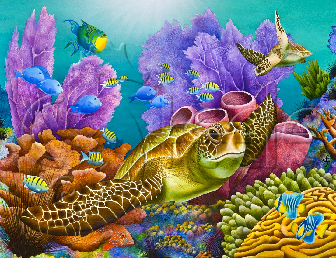 1104x849 Carolyn Steele Tropical Art Print Coral Reef And Sea Turtle - Colorful Coral Reefs Painting