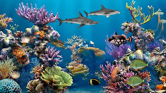 550x310 Colorful Coral Reef Painting Posters By Walter Colvin Redbubble - Colorful Coral Reefs Painting