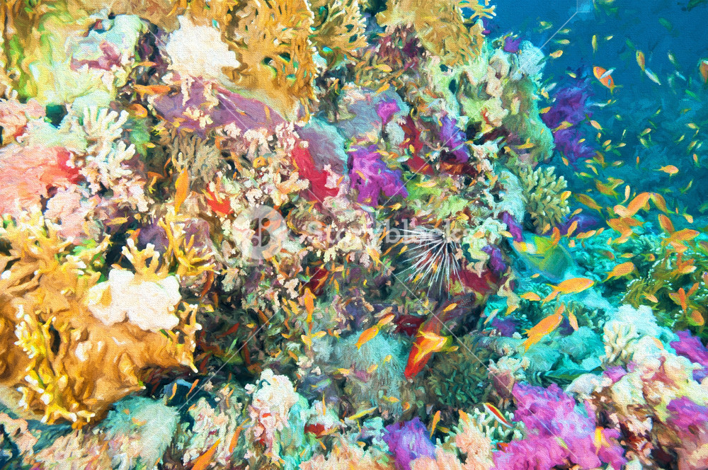 1000x664 Colorful Coral Reef Royalty Free Stock Image - Colorful Coral Reefs Painting