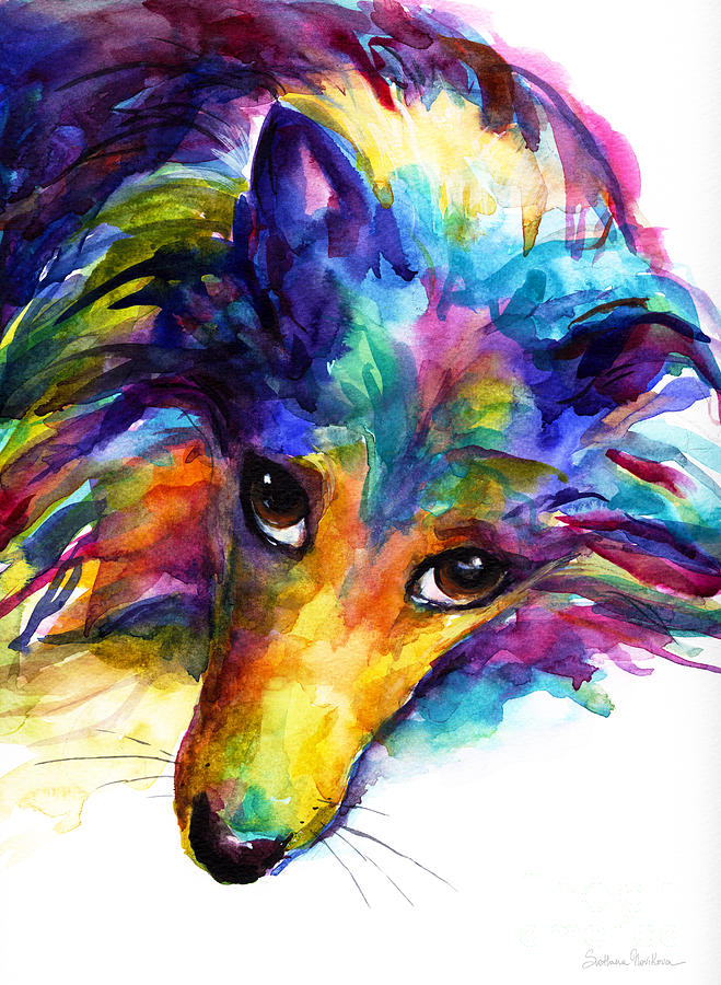 659x900 Colorful Sheltie Dog Portrait Painting By Svetlana Novikova - Colorful Dog Painting
