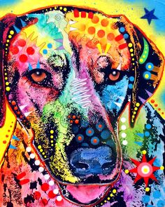 236x295 31 Best Colorful Dog Artheather Gellar Images - Colorful Dog Painting