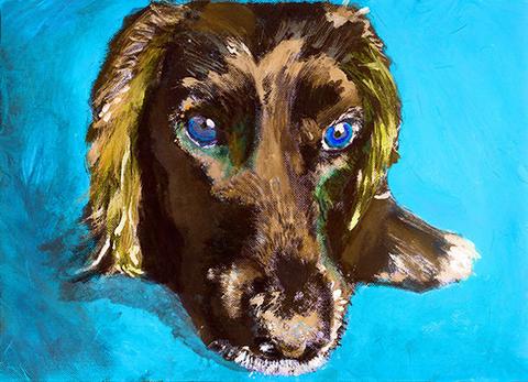 480x347 Cocker Spaniel Owner Gift, Working Cocker Painting. Watercolor - Colorful Dog Painting