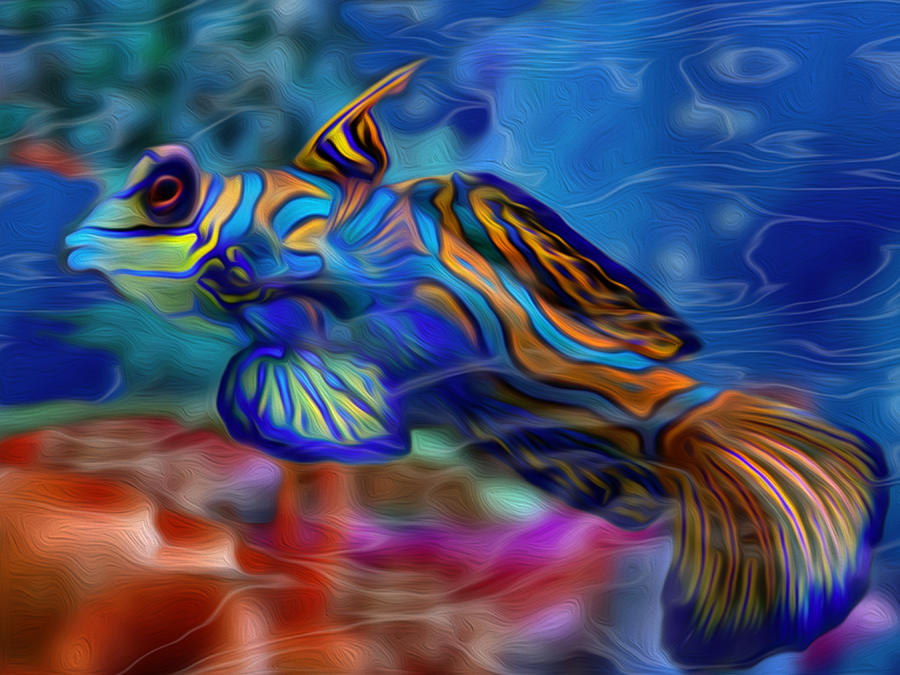 Colorful Fish Painting at PaintingValley.com | Explore collection of ...