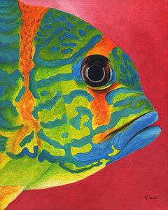240x300 Tropical Fish Paintings Fine Art America - Colorful Fish Painting