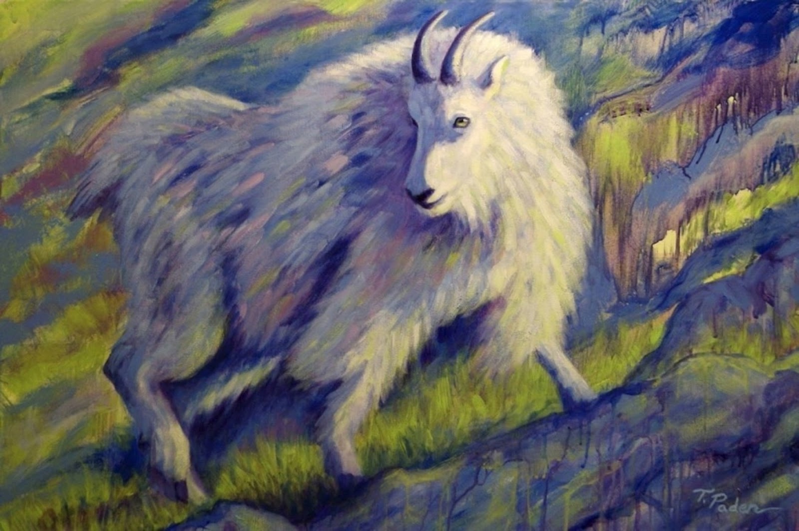 1600x1064 Wildlife Art Of The West Contemporary Mountain Goat Painting - Colorful Goat Painting