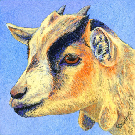 460x462 Ann Ranlett's Blog - Colorful Goat Painting