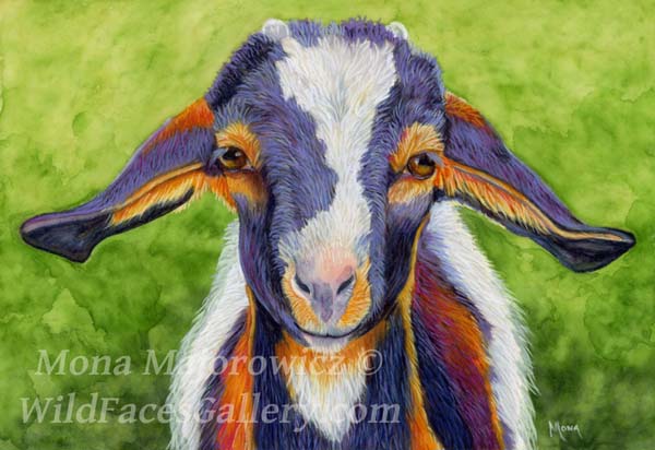 600x412 Watercolor Pencils Fur In The Paint Page 2 - Colorful Goat Painting
