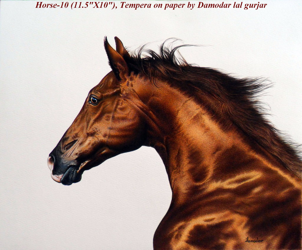 1024x846 Horse Head Painting By Damodar Gurjar By Dlgurjar - Colorful Horse Head Painting