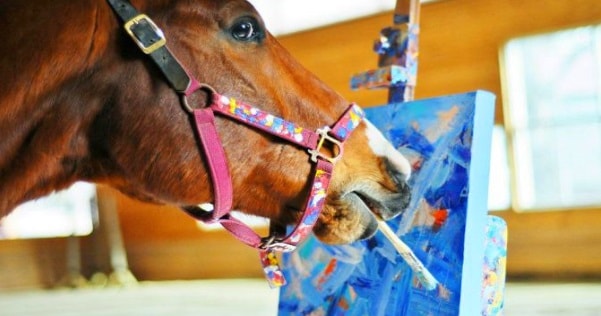 601x316 Meet Metro The Horse That Saved His Own Life By Painting Sia - Colorful Horse Head Painting