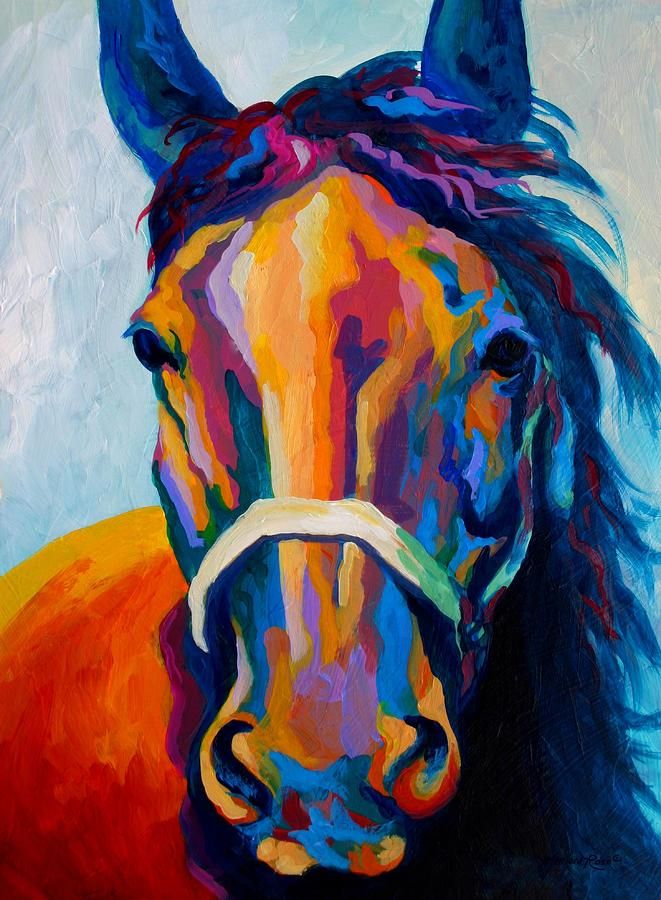 Colorful Horse Head Painting at PaintingValley.com | Explore collection ...