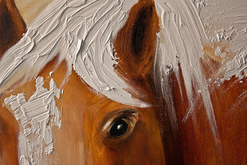 830x553 Painting - Colorful Horse Head Painting