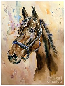 226x300 Colorful Horse Paintings Fine Art America - Colorful Horse Head Painting
