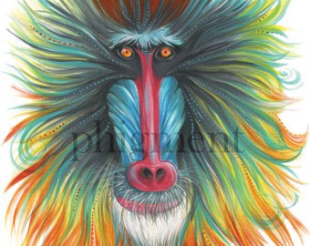 340x270 Colorful Monkey Art Etsy - Colorful Monkey Painting