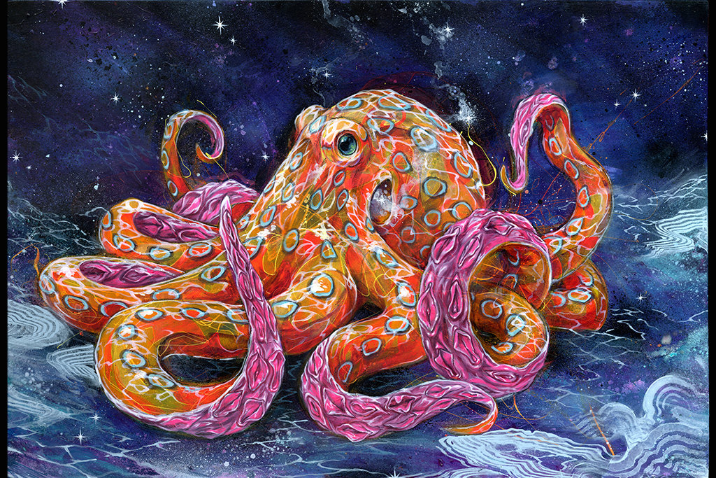 Colorful Octopus Art. 