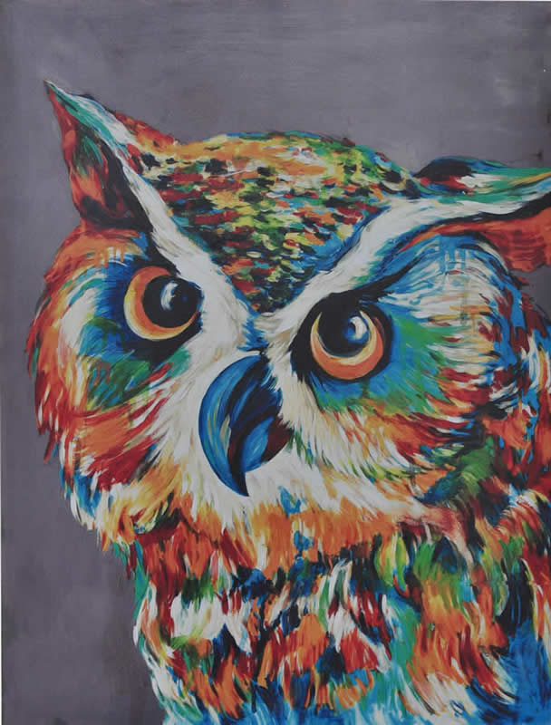 608x800 Colorful Owl Canvas Painting Animal Bird Wood Art Rectangular - Colorful Owl Painting