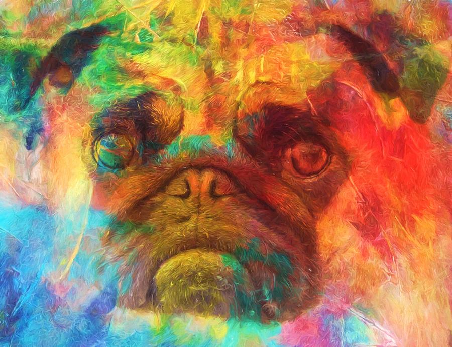 900x692 Colorful Pug Painting By Dan Sproul - Colorful Pug Painting