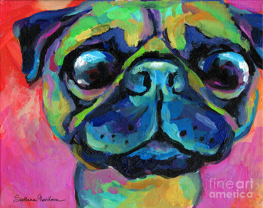 900x713 Funny Bug Eyed Pug Painting By Svetlana Novikova - Colorful Pug Painting