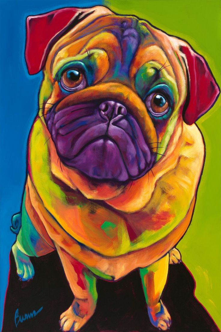 736x1108 The 1894 Best Prints Amp Patterns Images On Backgrounds - Colorful Pug Painting