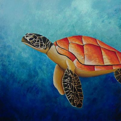 Colorful Turtle Painting At Paintingvalley.com 