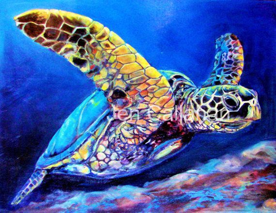 570x440 Pin By Kymberley S. On H O N U - Colorful Turtle Painting