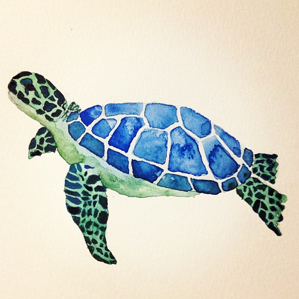612x612 Remarkable Colors Of Turtles Sea Turtle Water Color Painting I - Colorful Turtle Painting
