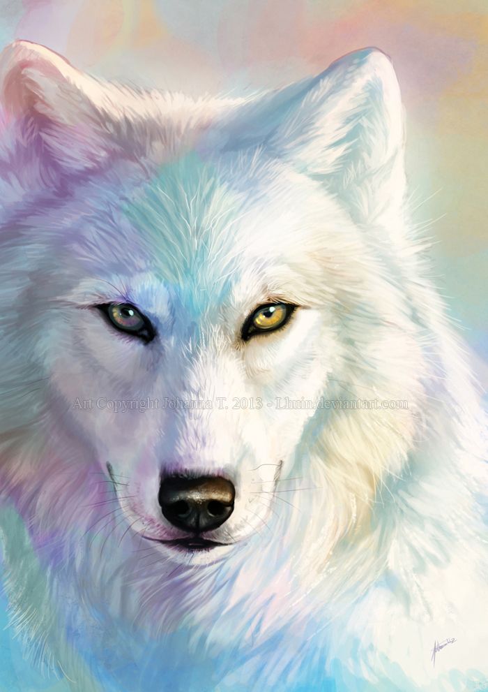 700x991 A Colorful Wolf. You Don'T Need Words, Just Admire. Wolves - Colorful Wolf Painting